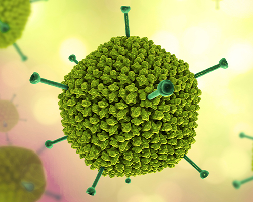 Adenovirus