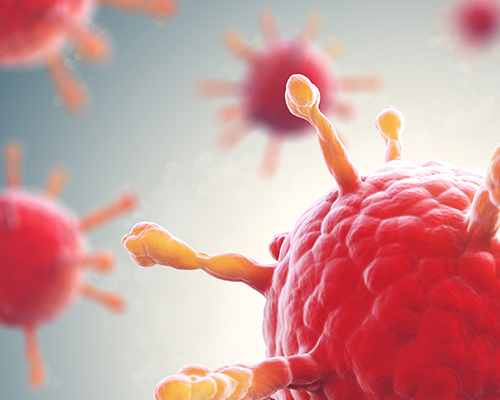 Lentivirus