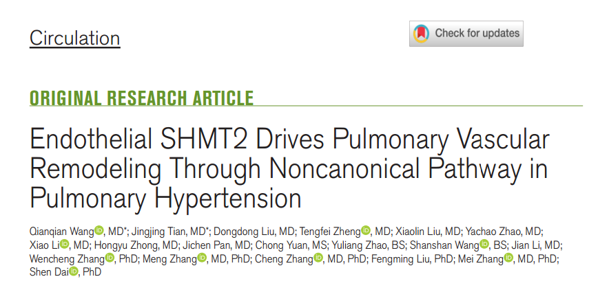[AAV_Adenovirus_Plasmid Application Cases in the Lung] Overall mechanism figure of SHMT2-RhoB regulation in pulmonary hypertension