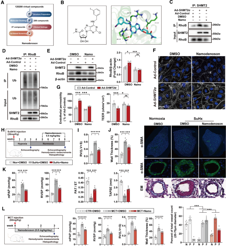 [AAV_Adenovirus_Plasmid Application Cases in the Lung] Validation of the mechanism of action of the small molecule Namodenoson