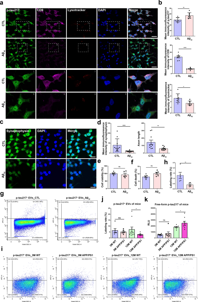 Levels of p-tau217 and p-tau217+EVs in Aβ42-treated cells or APP/PS1 mice